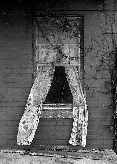 2307c401-d8c8-4295-aff1-032542d926ff